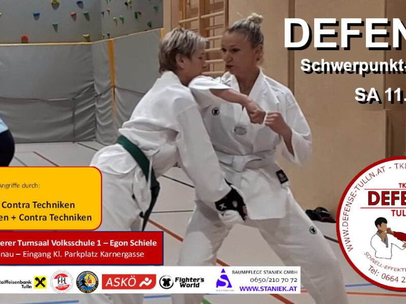 Schwerpunktseminar Ausweichen Konter