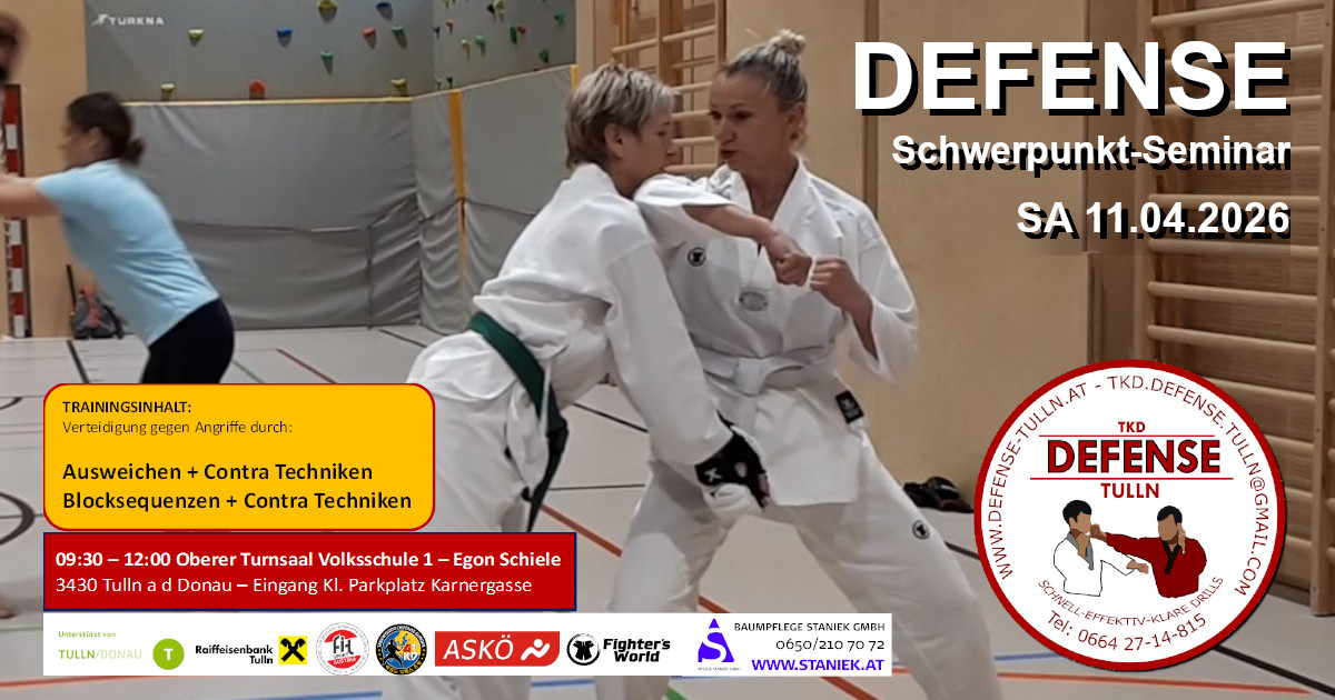 Schwerpunktseminar Ausweichen Konter